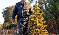 Orman Genel Müdürlüğü çok sayıda işçi istihdam edecek