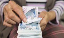 Türkiye'de 'vatandaşlık maaşı' için tarih verildi