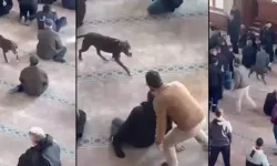 Camiye pitbull girmişti: Sahibi hakkında işlem başlatıldı