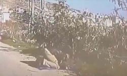 Namaz kılan Filistinliyi ATV’yle ezdi: Saldırgan yedek asker çıktı!