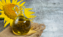 Ayçiçek yağında dünya lideri olduk