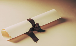 Lider olduk: Türkiye'de diploma iş değil işsizlik getiriyor