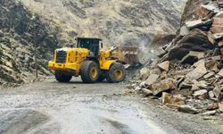 Şırnak’ta kaya düşmesi yolu kapattı