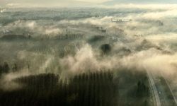 Sis kadrajında Düzce var