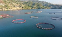 Su ürünleri avcılığı sözleşmeli üretim kapsamına alındı