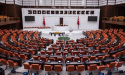 TBMM'de kamu denetçisi seçimi yapıldı!