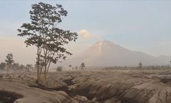 Semeru yanardağı 6 kez patladı!