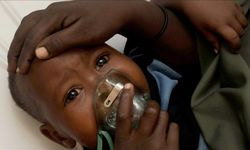 Nijerya’da Lassa ateşi hastalığında can kayıpları artıyor