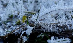 Kars'ta soğuk hava etkili oluyor