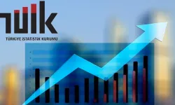 TÜİK enflasyon hesaplama sisteminde değişiklik yapacak