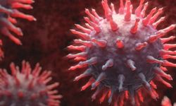 Yeni grip varyantı: Tüm dünyaya yayılabilir! Uzmanlar uyardı!