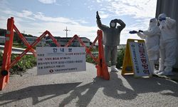 Afrika domuz vebası: 20 bin hayvan itlaf edildi