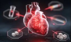 Kalp krizlerinin yüzde 99’unun 4 nedeni var