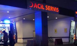 Mardin’de 2 kız kardeş evinde ölü bulundu