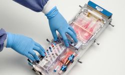 Uzayda insan organı üretilecek