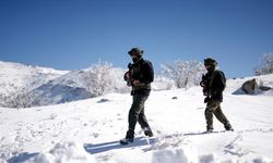 Suriye'de Lübnan modeli dayatması