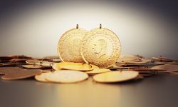 Gram altında rekor üstüne rekor