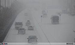 Diyarbakır'ı mağdur eden DEM'li Başkan Milli Eğitim Müdürlüğü'nden kepçe talep etti!