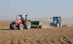 Tarım girdi fiyatları arttı