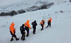 Çığ faciası: 2 kişiyi arama çalışmaları sürüyor