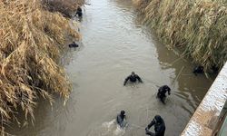 Sulama kanalına düşen otomobilin sürücüsünü arama çalışmaları sürüyor