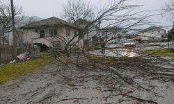Şiddetli rüzgar bazı binaların çatısını uçurdu, ağaçları devirdi