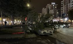Kayseri'de kuvvetli rüzgar: Ağaç aracın üzerine devrildi!