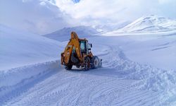 Van, Bitlis, Muş ve Hakkari'de kar çilesi: Yollar kapalı!