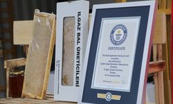 Öğrenince Şaşıracaksınız: Guinness Rekorlu Dünyanın En Pahalı Balı Hangi Ülkede?