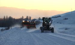 Ağrı'da kar çalışmaları dur durak bilmiyor