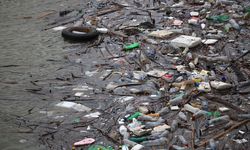 Kosova’da çirkin görüntüler: Gölün yüzeyi çöp ve atıklarla kaplandı