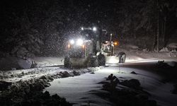 Kar yağışı nedeniyle kapanan yollar ulaşıma açıldı