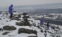 Diyarbakır'da kaybolan kadın aranıyor