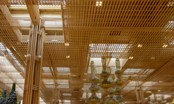 İnşaatta devrim: Beton yerine bambu