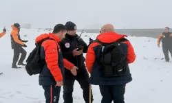 Diyarbakır'da 410 kişilik ekip, kayıp Nimet Kılıç’ı arıyor