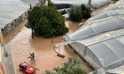 Bakan Yumaklı'dan sel ve hortumdan etkilenen üreticilere ilişkin açıklama