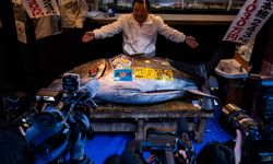 3,2 Milyon Dolara satılan balık rekor kırdı