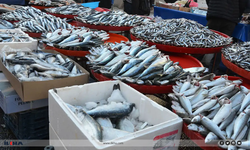 Soğuk hava balık tezgahlarına da vurdu