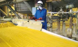 Ülkelere çok para kazandıracak maden.. Türkiye'de var mı?