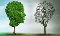 Bipolar Bozuklukla Yaşam: Doğru Yaklaşımla Kontrol Edilebilir Bir Süreç