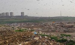 Bursa Büyükşehir Belediyesi’ne ceza!