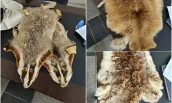 Sınır kapısında valizin içinden çıkarılanlar hayrete düşürdü!