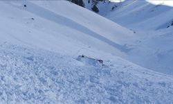 Meteoroloji'den İki Bölgeye Kritik Çığ Alarmı