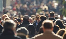 Dünyanın hali: 8 milyar insan ne yapıyor?