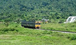Dünyanın en uzun süren yolculuğu tam 21 gün