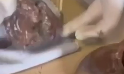 Midyat'ta çikolata kavanozundan çıkan şey şoke etti