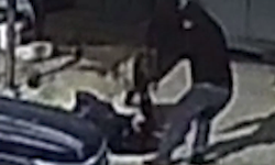 Vakasız gün yok! Beslediği köpeğin saldırısına uğradı!