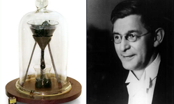 Dünyanın en uzun süren deneyi: Bir damla için 8 yıl