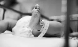 İstanbul Fatih'te 2 aylık bebek açlıktan öldü: Ailesi gözaltına alındı