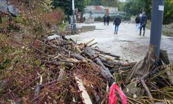 Mios Kentinde Hortum Dehşeti: 200 Konut Hasar Gördü